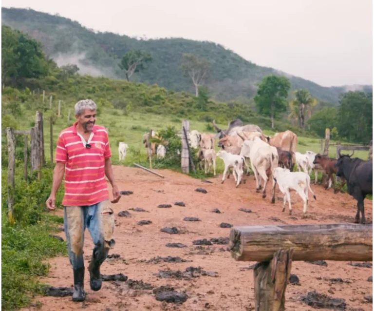 Vaca chamada pelo nome